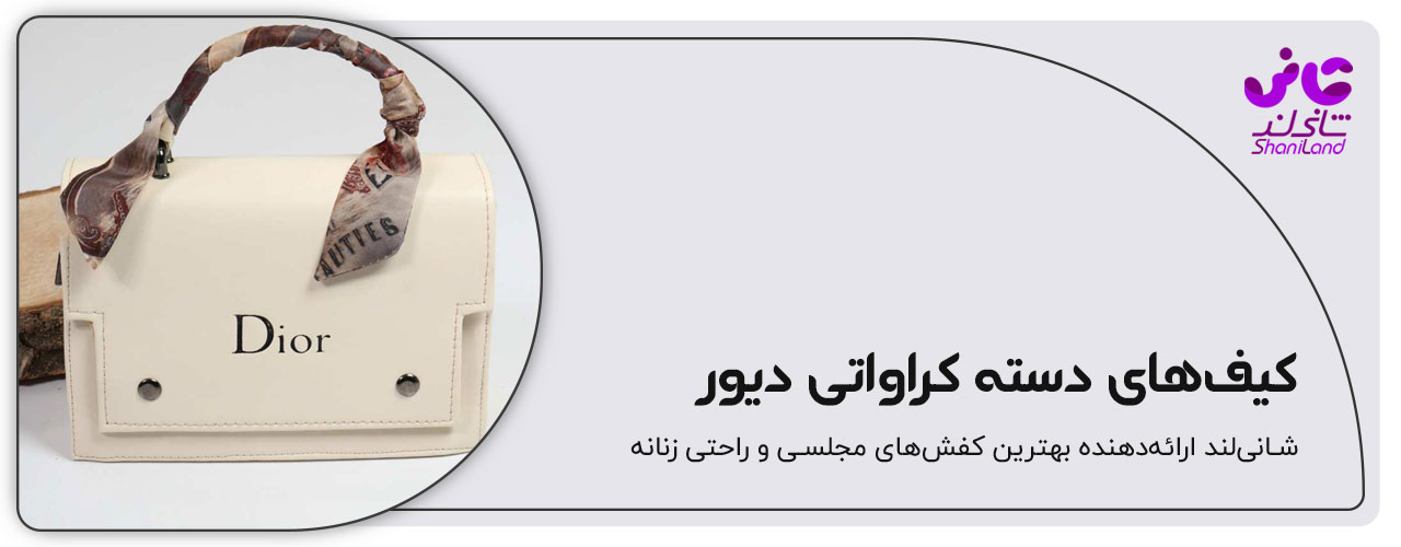 کیف پاسپورتی دسته کراواتی دیور